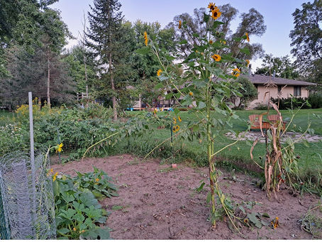 2024 09 03 - One still stands