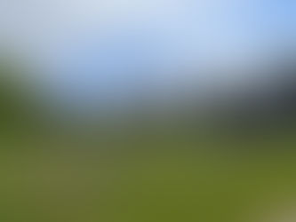 2024 05 18 - MN - Carlos