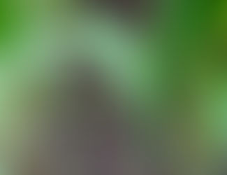 This is what I like to see