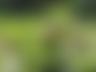 2021 07 05 - Winding down on the planting.