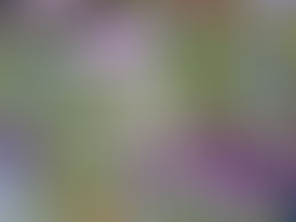 This is what happens