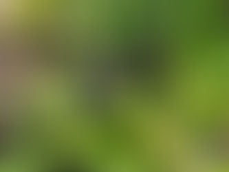 2021 06 02 - Filling in the gaps