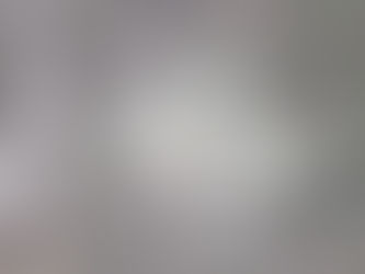 2021 07 30 - Feeding the wildlife