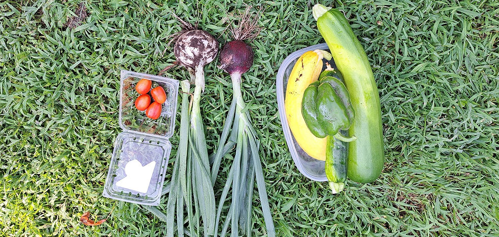 Today's pickings, plus blue berries.
