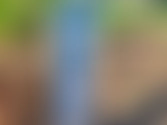 2025 06 27 - It rained