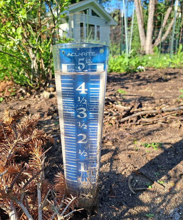 Not sure which day, but almost 5 inches.