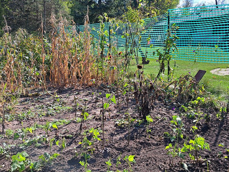 2025 10 04 - Raising the fence