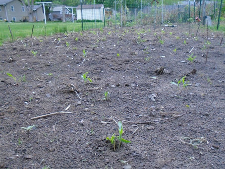 2024 05 19 - It's up