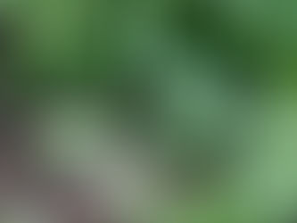 Eating, weeding and raining