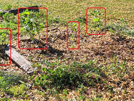 2023 06 08 - There is hope