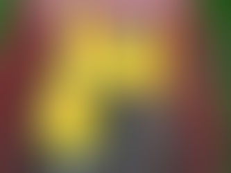 2021 07 17 - The garden is starting to produce