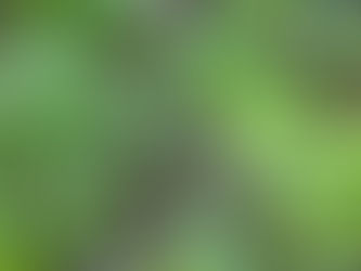 2021 06 27 - Berry good