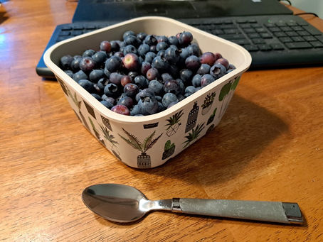 2025 07 06 - Some things are berry good this year