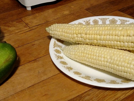 First corn of the season