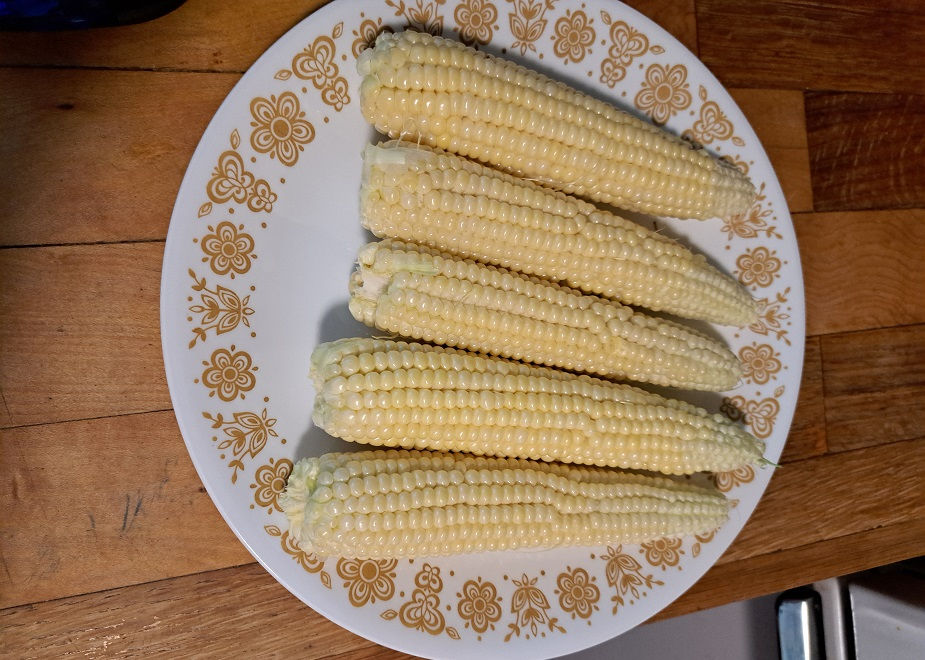 1st corn, it is a little small but good.