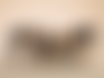 How to Train a Puppy: A Week-by-Week Breakdown