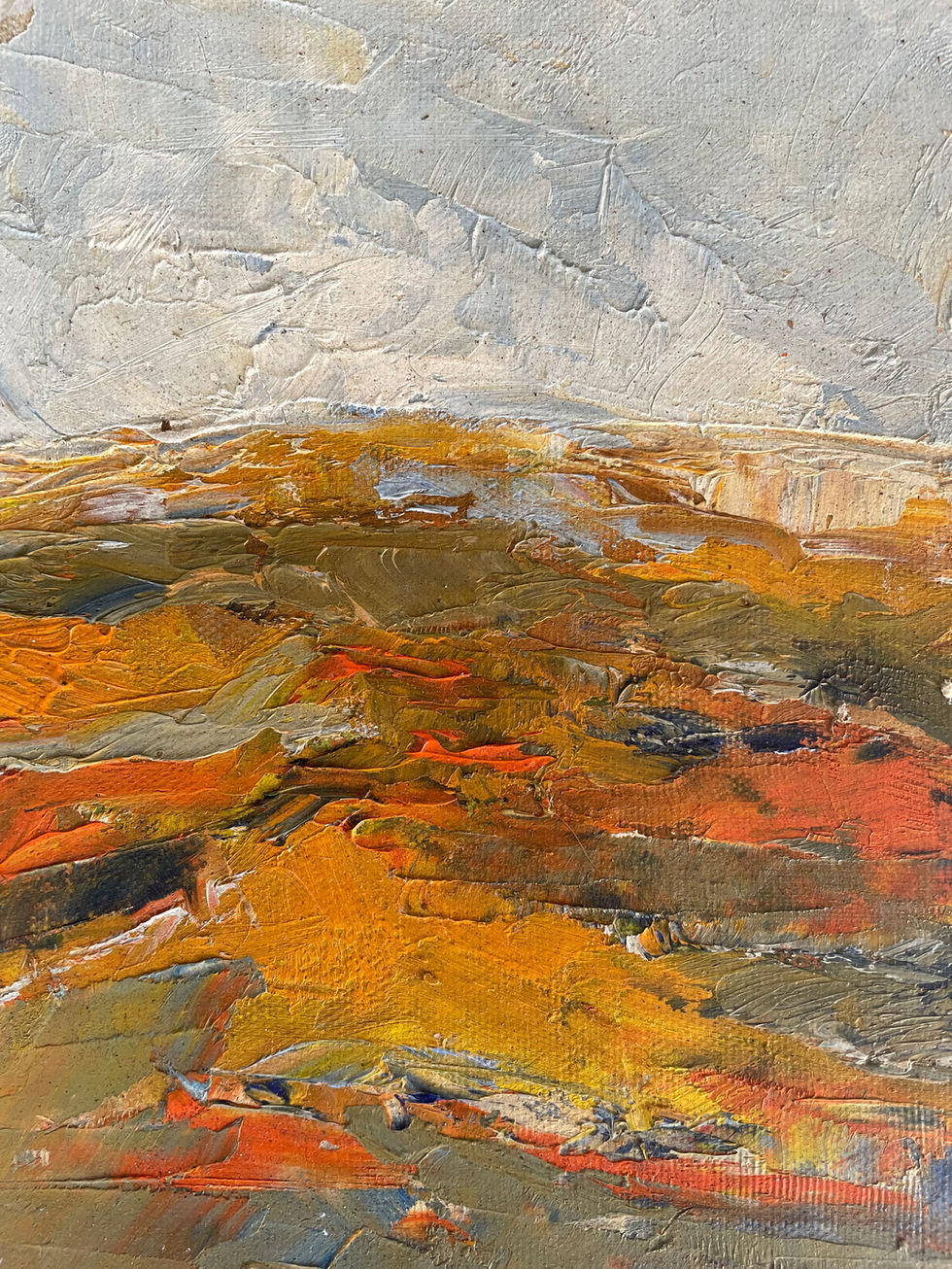 "Superbloom" Abstraction/ Oils