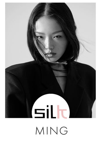 Silk Models