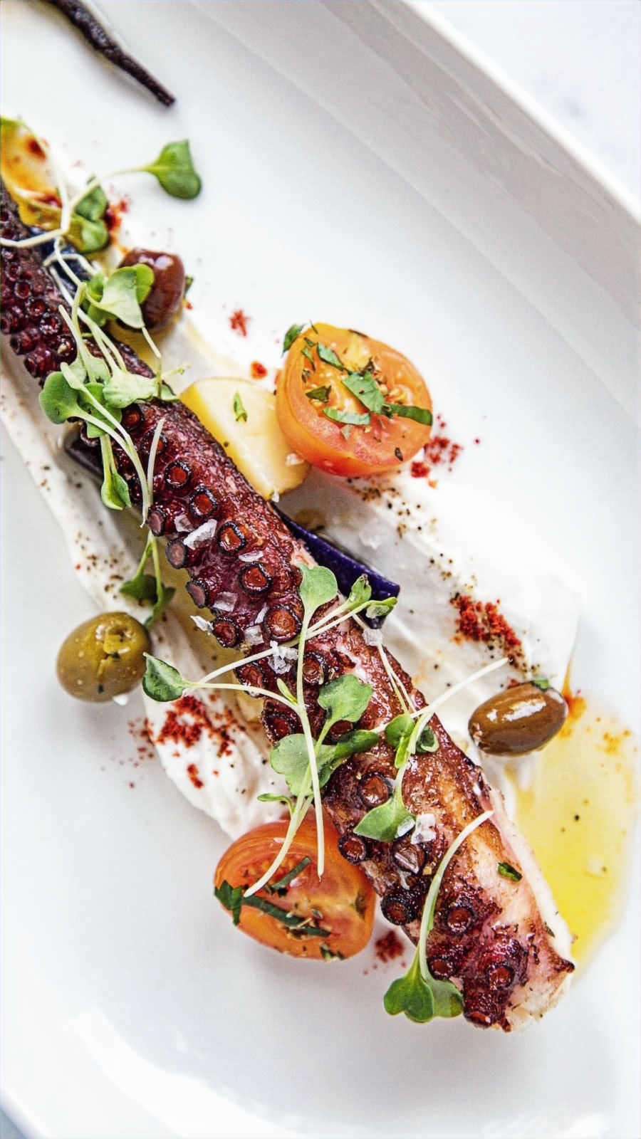 Alfio Longo Culinary Executive in concept development and Luxury culinary operations