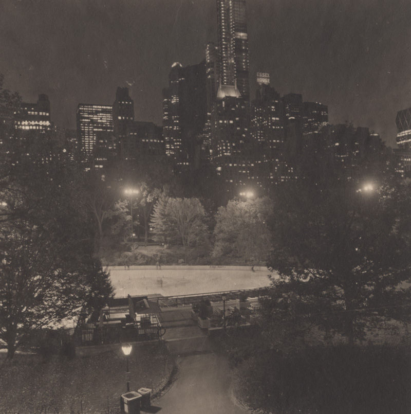 Takeshi Shikama, Urban Forests, Central Park, NY #40, 2012