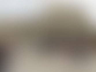 Rassemblement combatif pour nos trains à Bourg