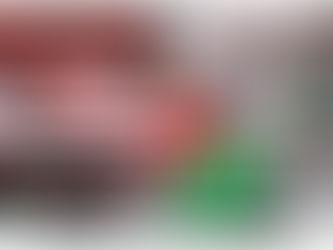 HALTE AU MASSACRE À GAZA