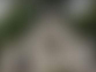 Résistants et résistantes