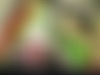 LIBERTÉ – FRATERNITÉ