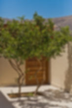 c'est la vie ammoopi high res-13.jpg