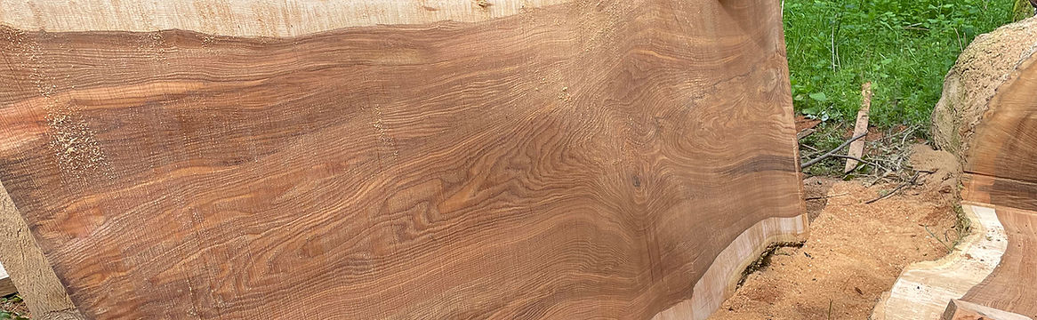 Wood Grain.jpg