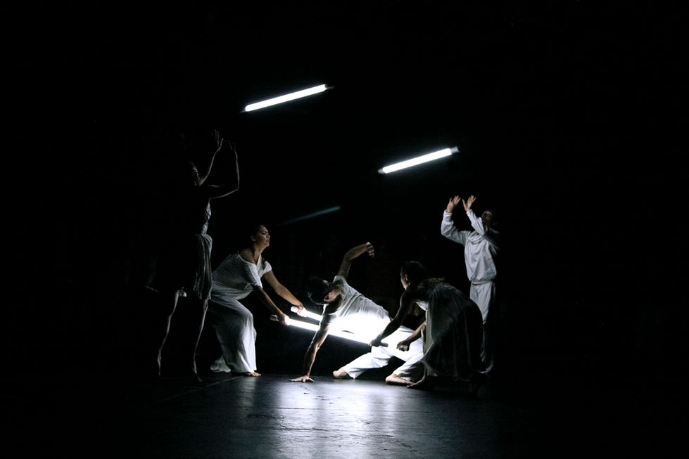 TaxDermia_El Galeón, CDMX 2015_Elizabeth Vinck Photo