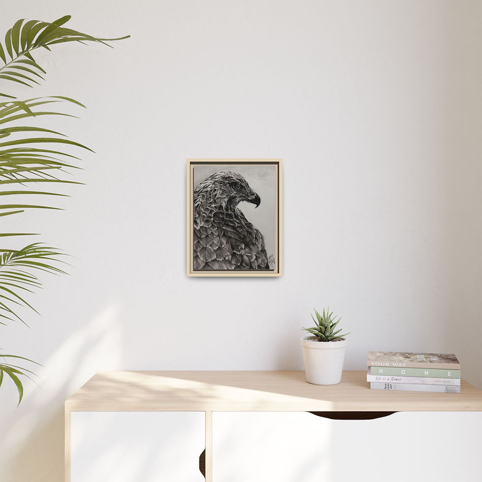 Thumbnail: Hand-drawn Hawk Matte Canvas Framed Art