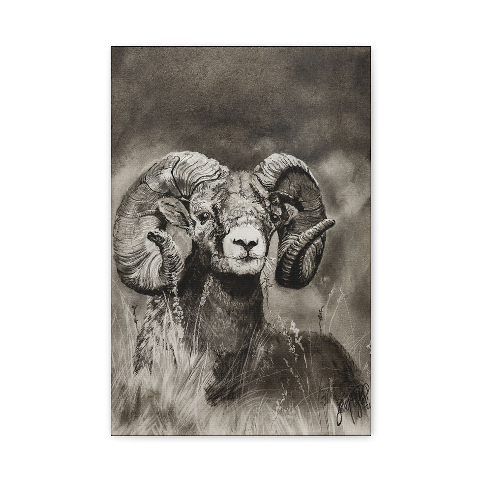 Thumbnail: Bighorn Ram Matte Stretched Canvas Wall Art