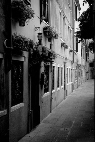 Venetian Street 1