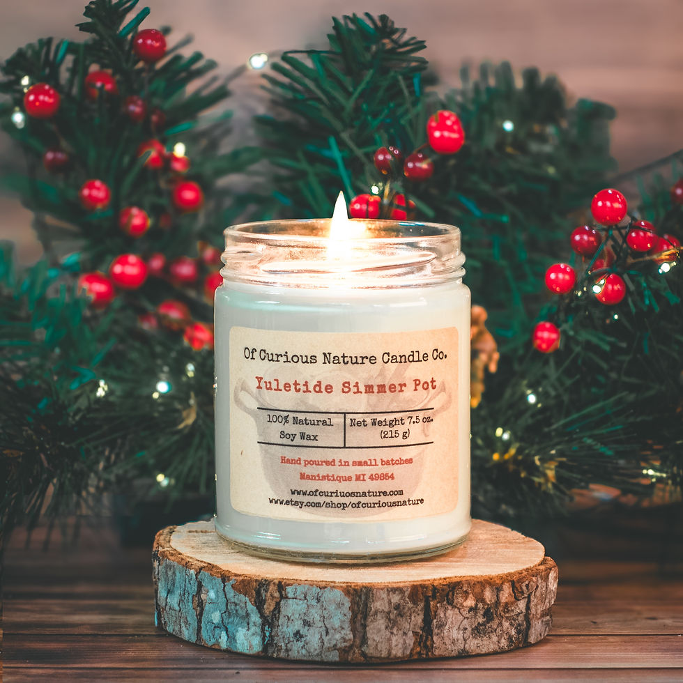 Yuletide Simmer Pot soy candle by Of Curious Nature. 7.5 oz natural soy wax candle