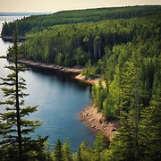 Realistic image of _Upper peninsula of michigan with pine forests, lake superior, fresh ai