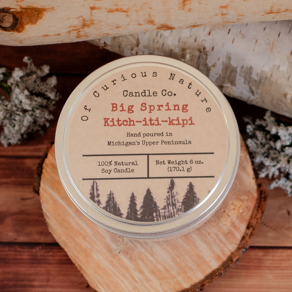 Thumbnail: White Sage & Lavender Soy Candle | Big Spring Kitch-iti-kipi, 8 oz Tin