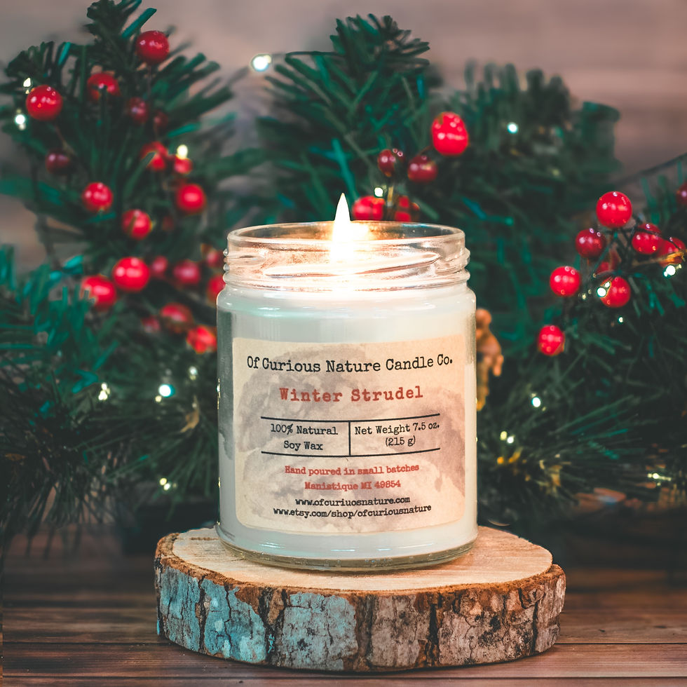 Winter Strudel soy candle by Of Curious Nature. 7.5 oz natural soy wax candle