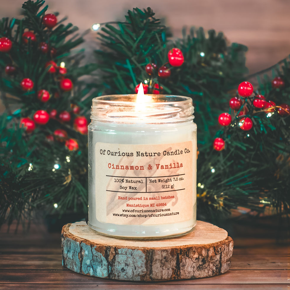 Cinnamon and Vanilla soy candle by Of Curious Nature. 7.5 oz natural soy wax candle