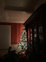 IMG_5710.HEIC