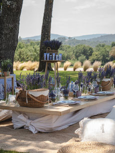 A Kerastase basket and product display anchor the lavender table beneath a tree, captured by brand activations photographer Margot Jakobson for Komodo.