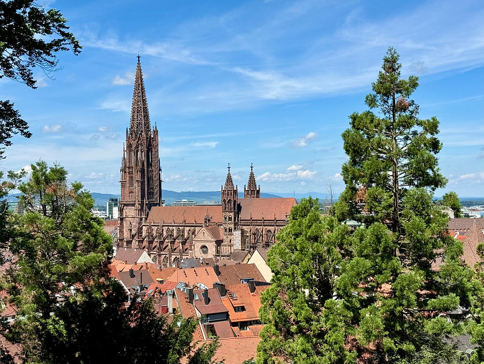 Freiburger Münster
