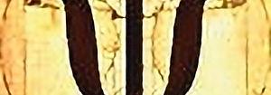 LOGO-MANTHOS_edited.jpg