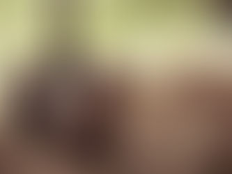 Transparent Revelation