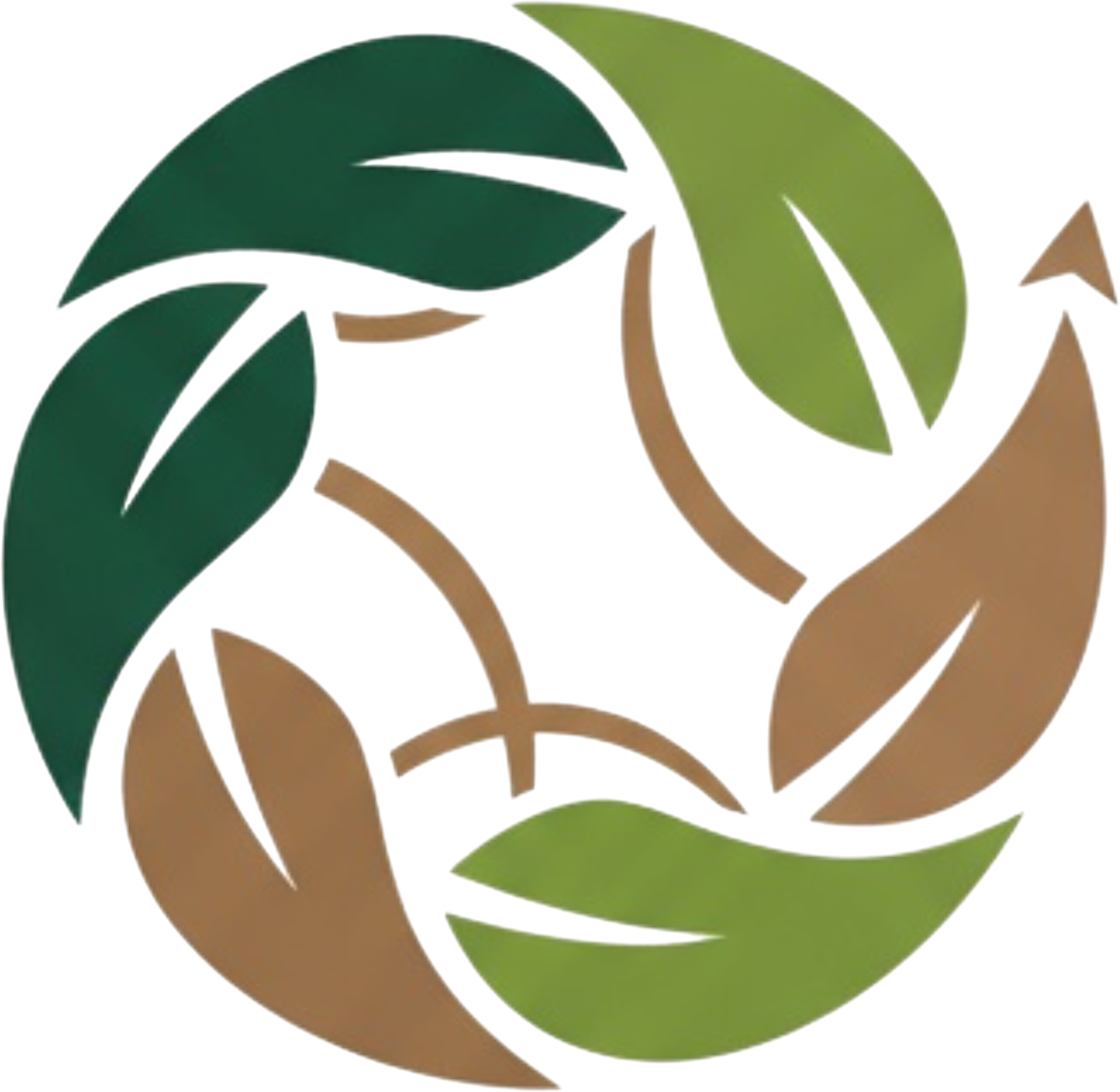 Writer: Releaf Global