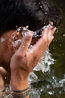 _DSC0827.jpg