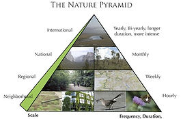 nature pyramid nu echt goed_edited.jpg
