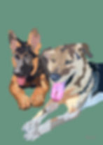 Thumbnail: Digital Drawing