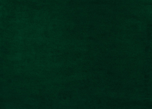 Screenshot 2024-02-27 at 9.50.53 AM.png