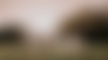 Fuss Free ROM Wedding